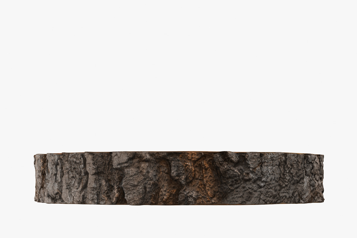 Wood Log Slice, an Environmental 3D Model by 3D_PikNik (Photo 7 of 15)