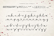 Emellie Script Font, a Script Font by Design Panoply (Thumbnail 3 of 8)