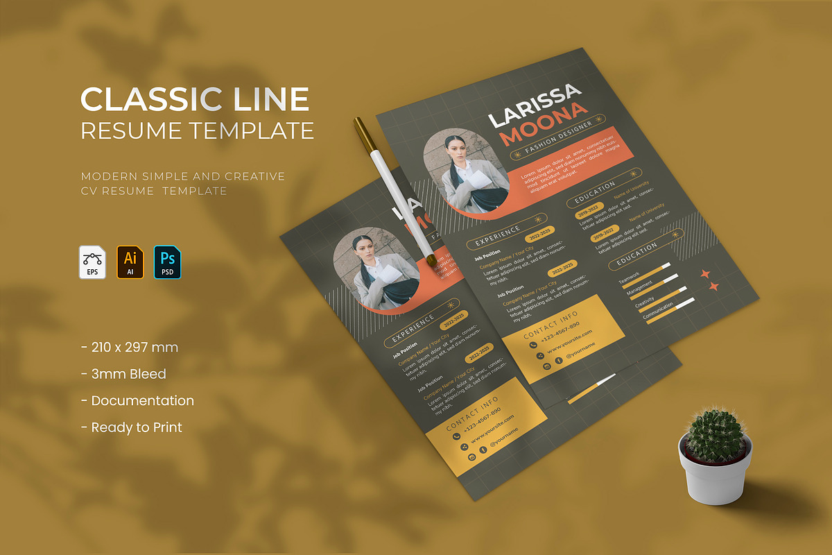 Classic Line - Resume Template, a Resume Template by VUNIRA (Photo 1 of 2)