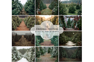 Christmas Tree Farm Digital Backdrop