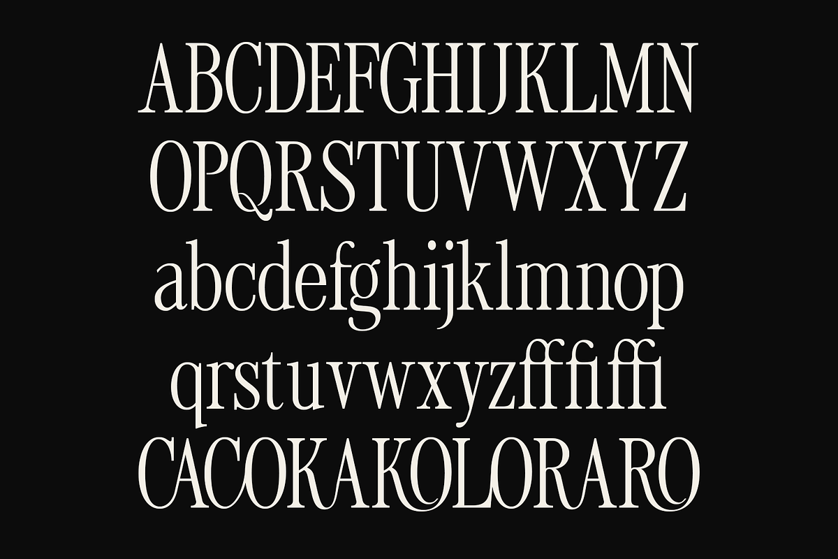 Tirone - Display Serif Font, a Font by Viswell (Photo 10 of 10)