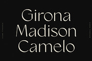 The Modern Typography Bundle, a Serif Font by Ivan Rosenberg (Thumbnail 8 of 58)