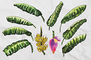 Banana Leaves Watercolor, a Pattern Graphic by Planolla (Thumbnail 6 of 6)