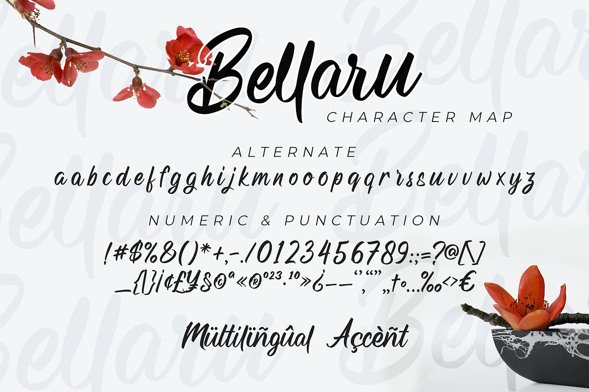Bellaru preview 7