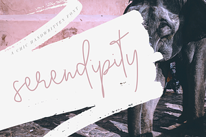 Serendipity Font - Chic Script