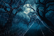 Spider Web Overlay Bundle, a Background Photo by M9 Design (Thumbnail 5 of 10)