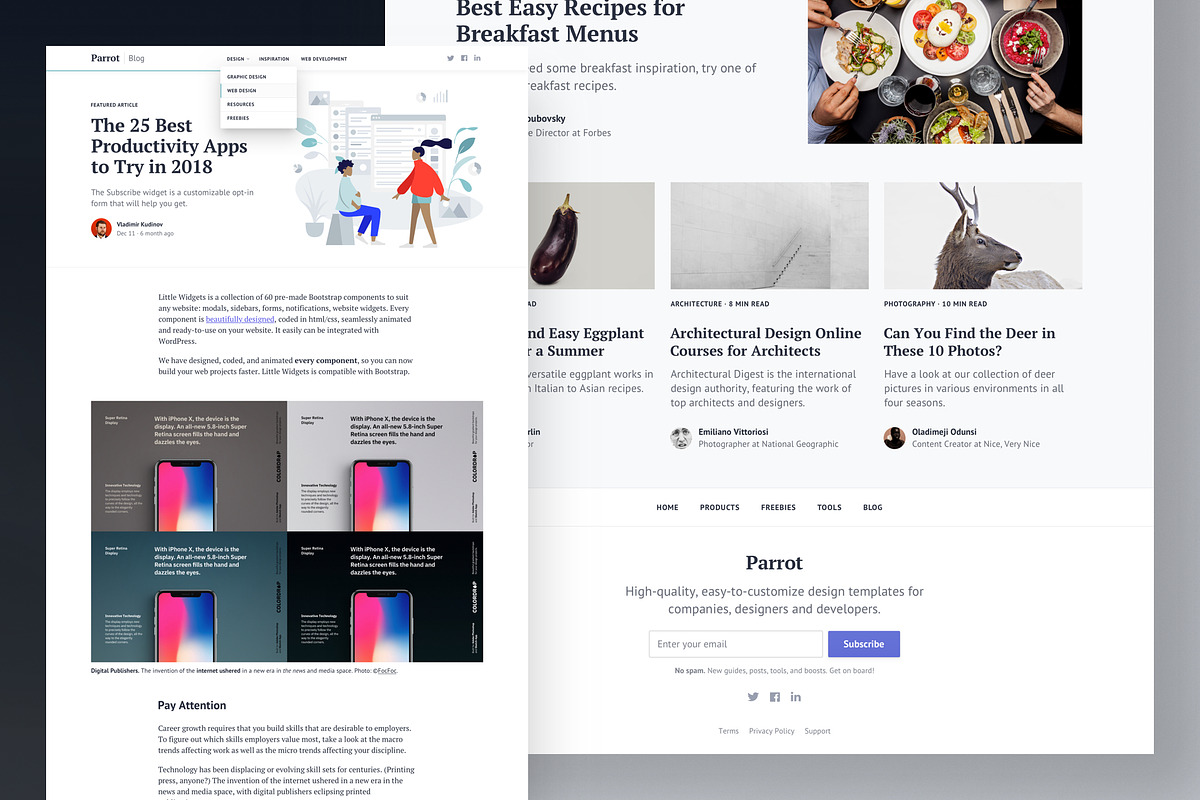Parrot: Bootstrap Blog Template, a Bootstrap Template by Nice, Very Nice (Photo 4 of 6)