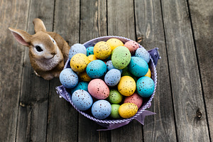 Easter eggs with bunny on the table