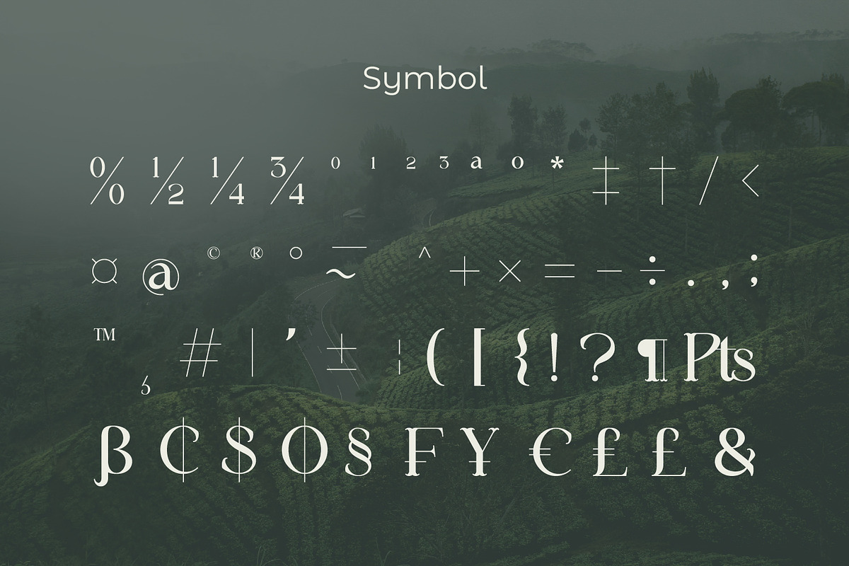 Megarow, a Serif Font by Rishsketch (Photo 11 of 13)