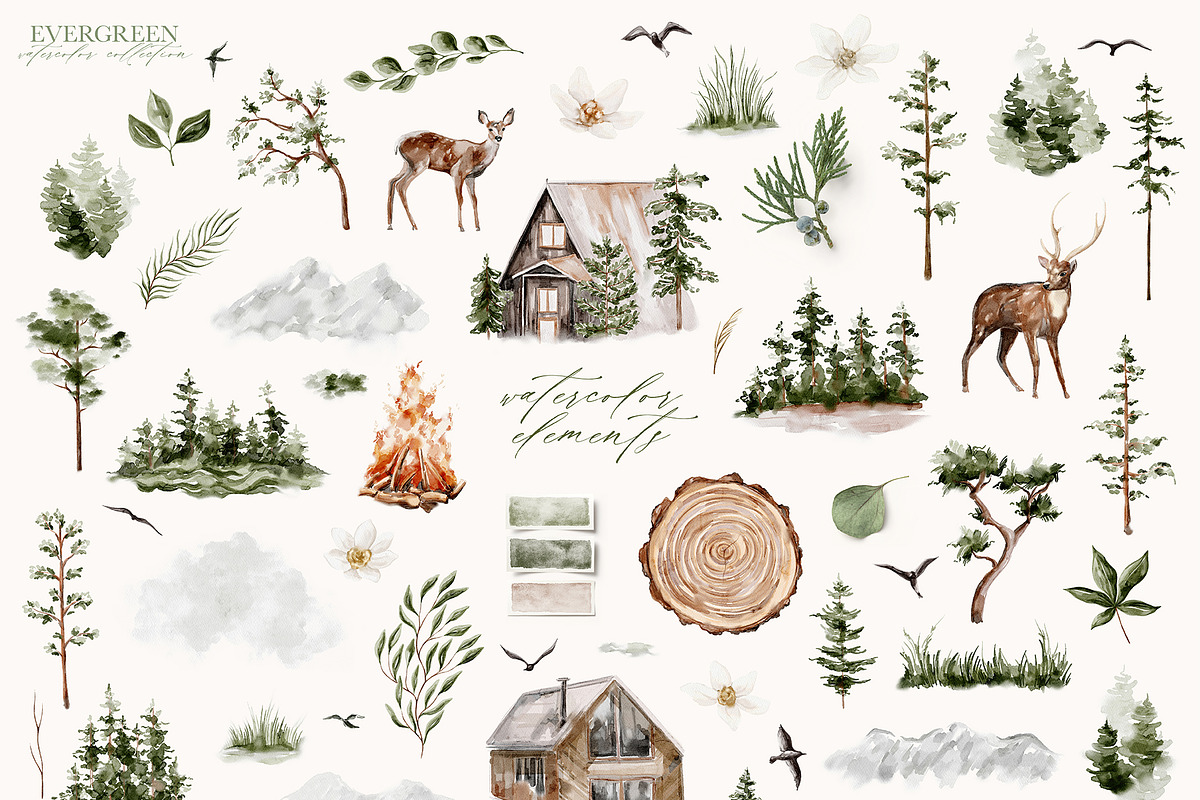 Evergreen Watercolor Forest, an Animal Illustration by Julia Dreams (Photo 8 of 10)