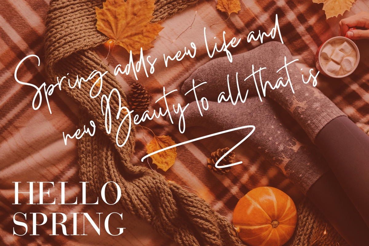 Foustayn Signature Business Font preview 5
