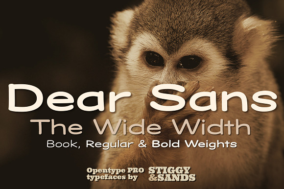 Dear Sans Wide Family preview 6