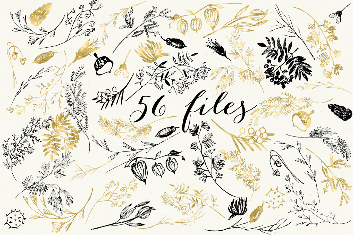 Florygraphy. Autumn. Ink clipart, an Illustration by LABFcreations (Photo 3 of 4)