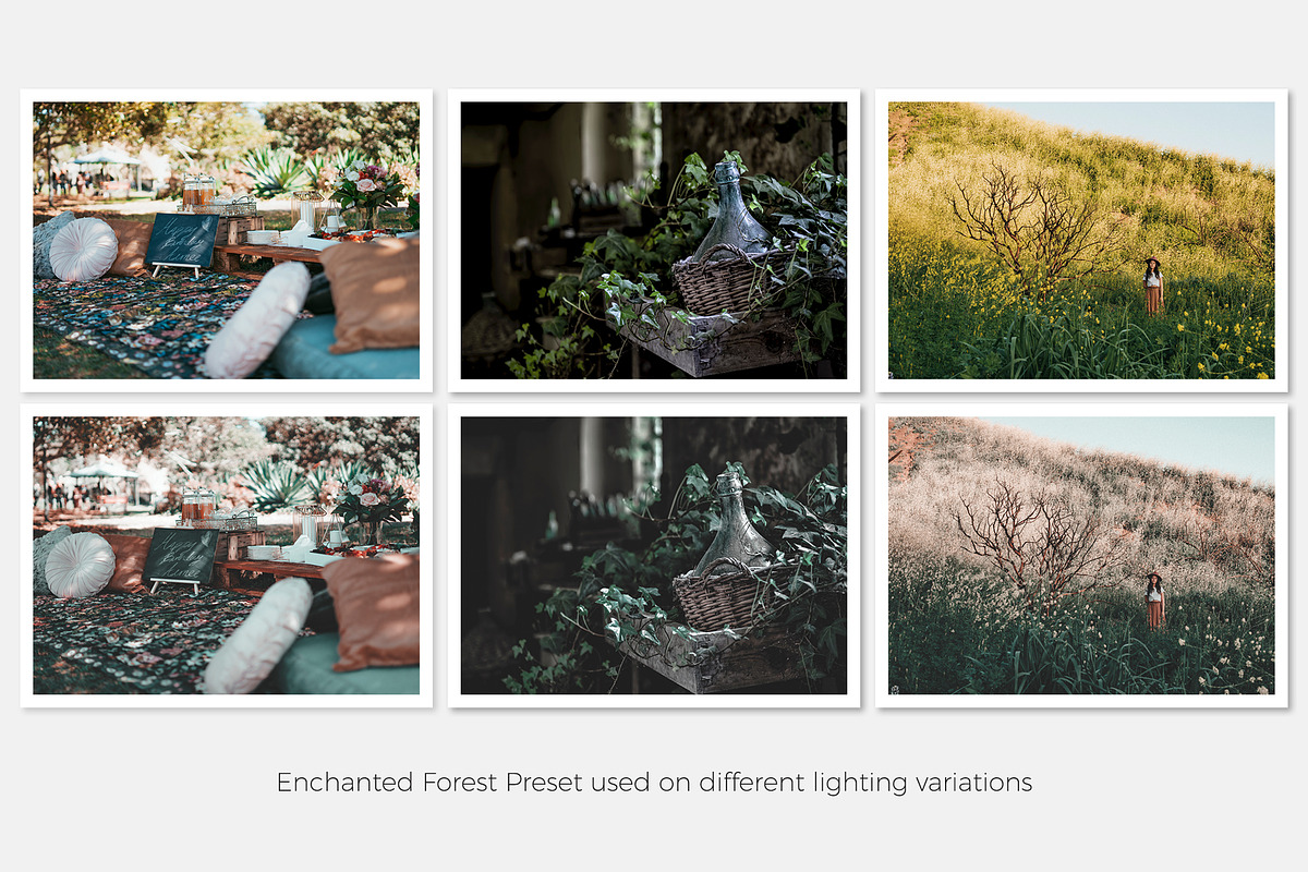 Enchanted Forest Lightroom Presets, a Plug-in Add-On by Applesaw.co (Photo 3 of 4)