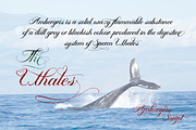 Ambergris Script, a Script Font by FHFont (Thumbnail 3 of 10)