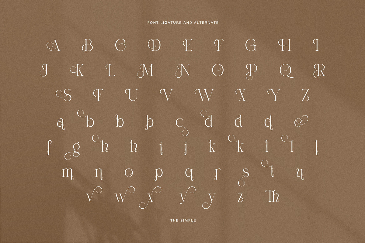 The Simple Elegant Serif Font, a Serif Font by Perfectype (Photo 8 of 8)