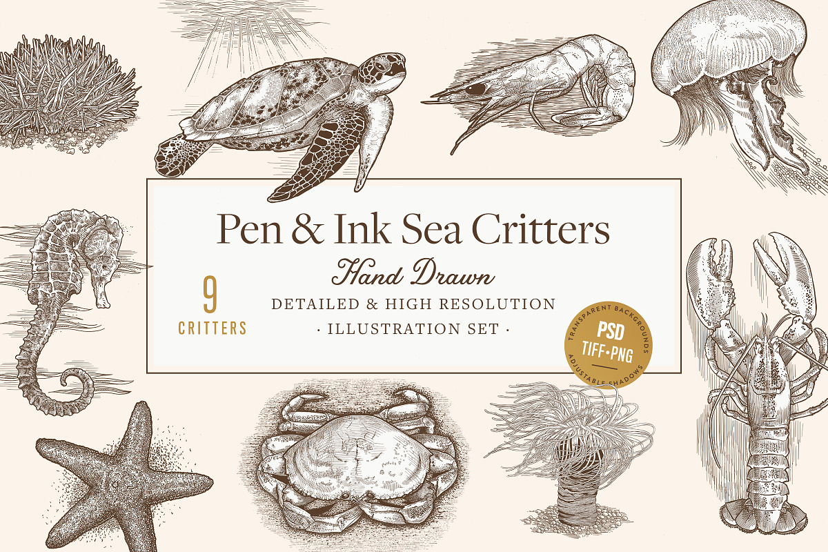 Hand Drawn Sea Critters Set, an Animal Illustration by Well Rock Designs (Photo 1 of 8)