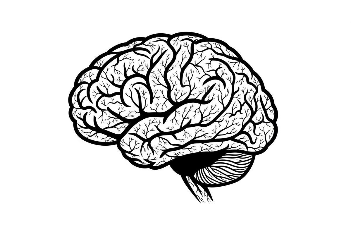 Brain Tree Knowledge Design Bundle, an Illustration by Gaye Art (Photo 30 of 31)