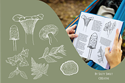 17 Botanical Vector Illustrations, an Illustration by Salty Sweet Creative (Thumbnail 2 of 3)