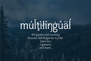 Harnet Serif, a Serif Font by MarioPanDeliver (Thumbnail 8 of 11)