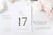 Watercolor Olive greenery clipart, a Decorative Illustration by Catherine Wheel (Thumbnail 12 of 19)