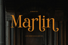 Marlin Modern Elegant Serif