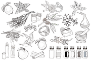 Aromatherapy and Essential Oils, an Illustration by Lady Spy (Thumbnail 4 of 7)
