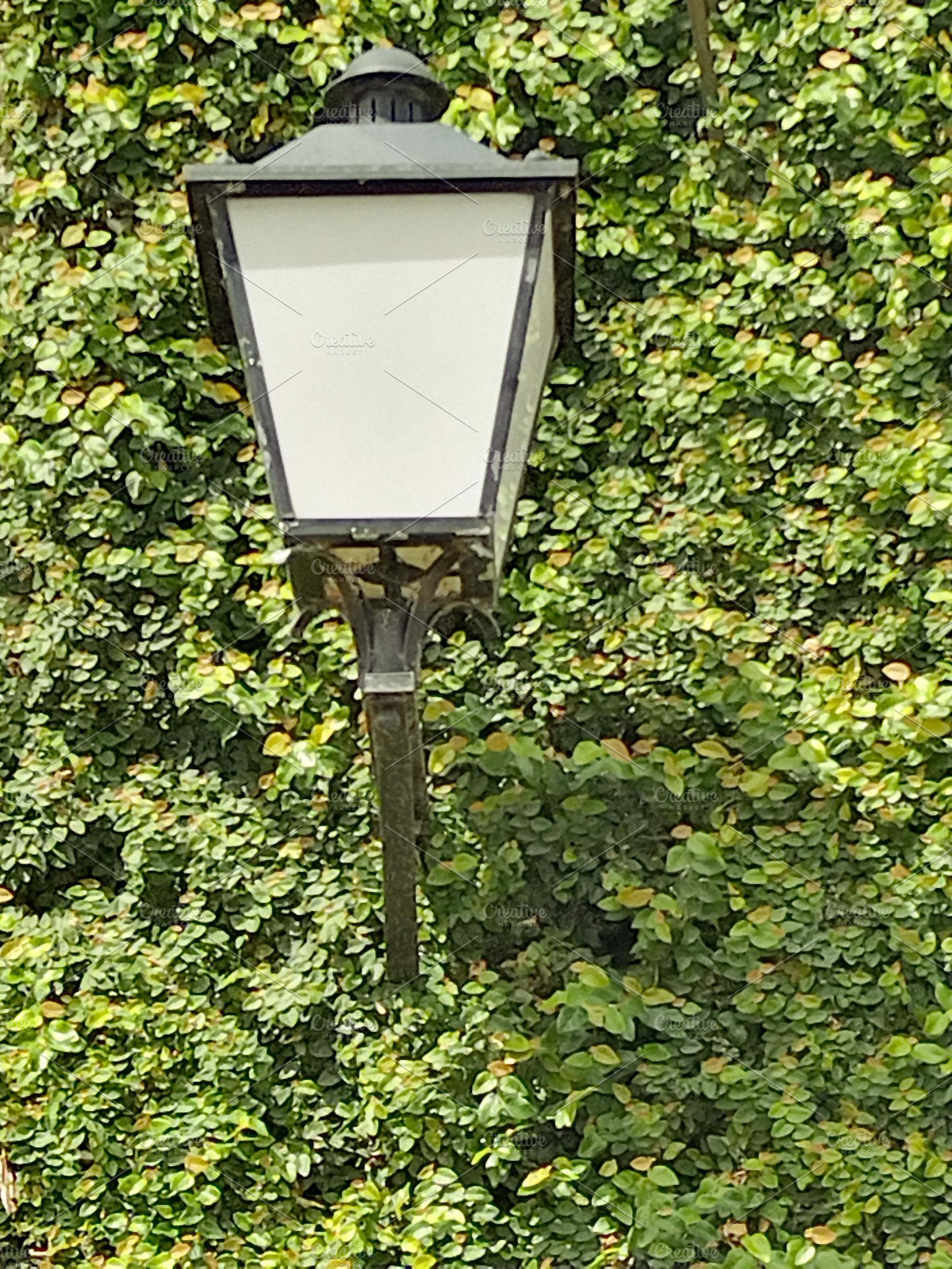 Vintage street lamp on ivy-covered wall, an Architecture Photo by DanFLCreativo