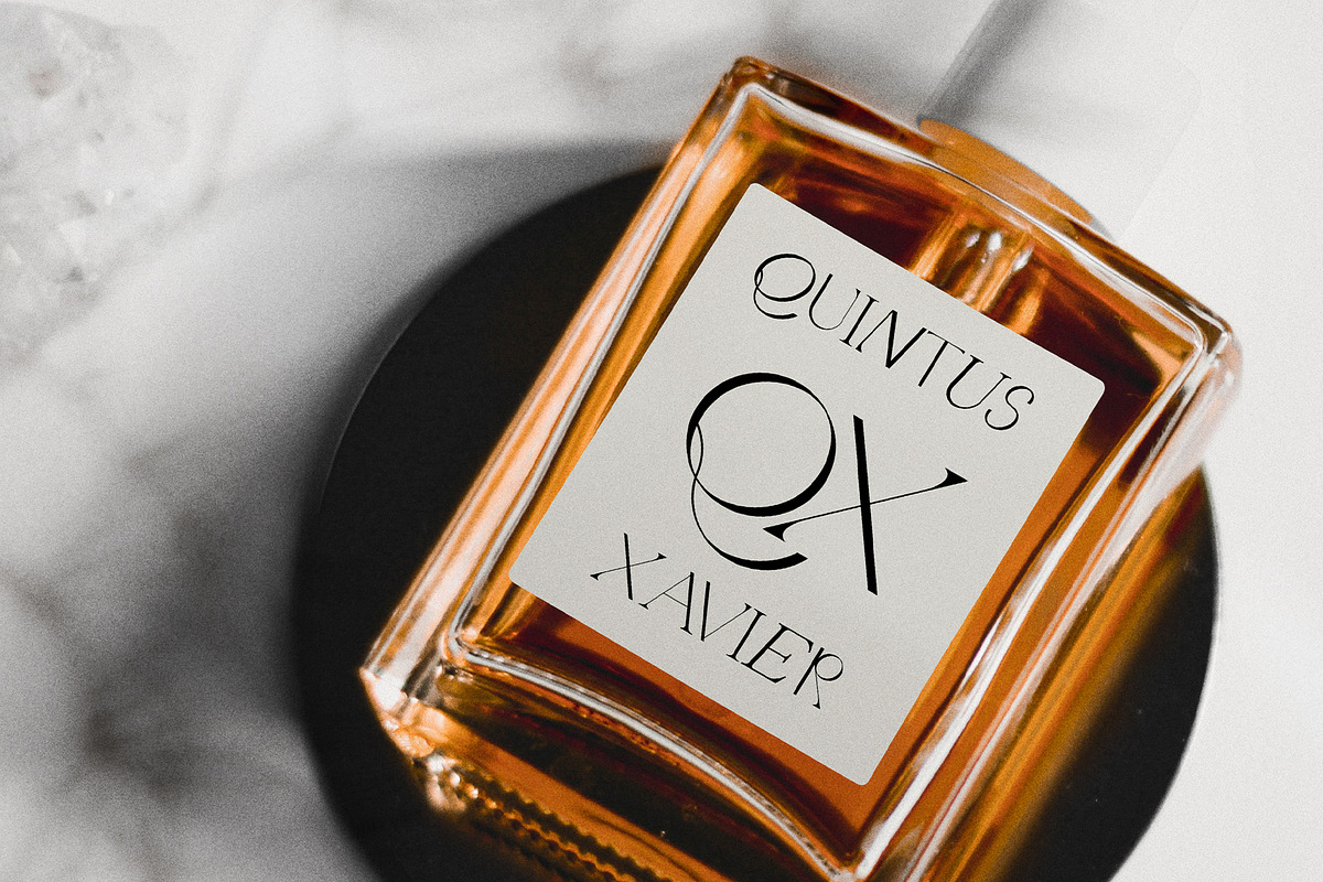 Quarx - Sans & Serif Modern Font Duo, a Sans Serif Font by SilverStag Type Foundry (Photo 5 of 18)