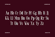 Marqen Modern Luxury Serif Font, a Serif Font by Rasio Studio (Thumbnail 2 of 9)