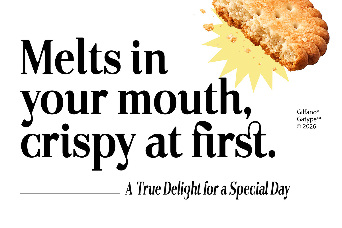 Gilferos, a Serif Font by Gatype (Photo 10 of 16)