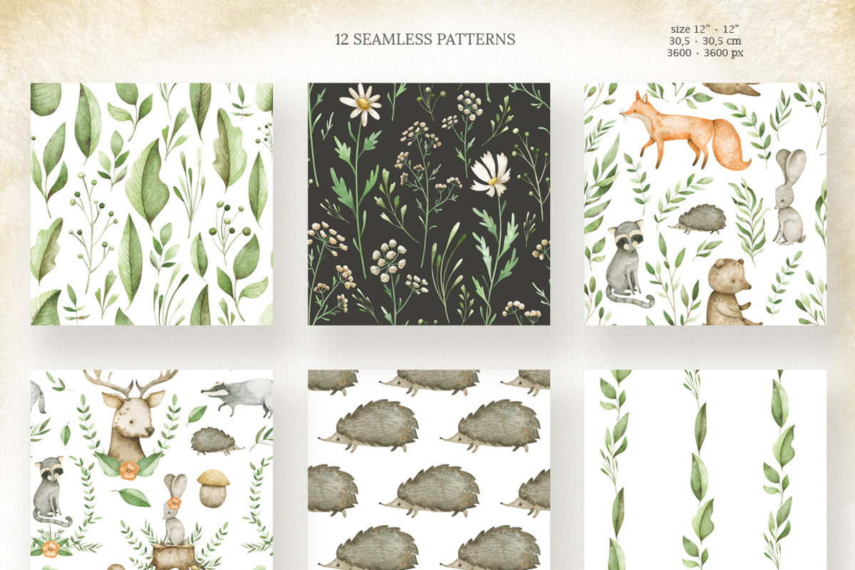 Watercolor woodland animals set, an Animal Illustration by OrangePeafowlArt (Photo 9 of 14)
