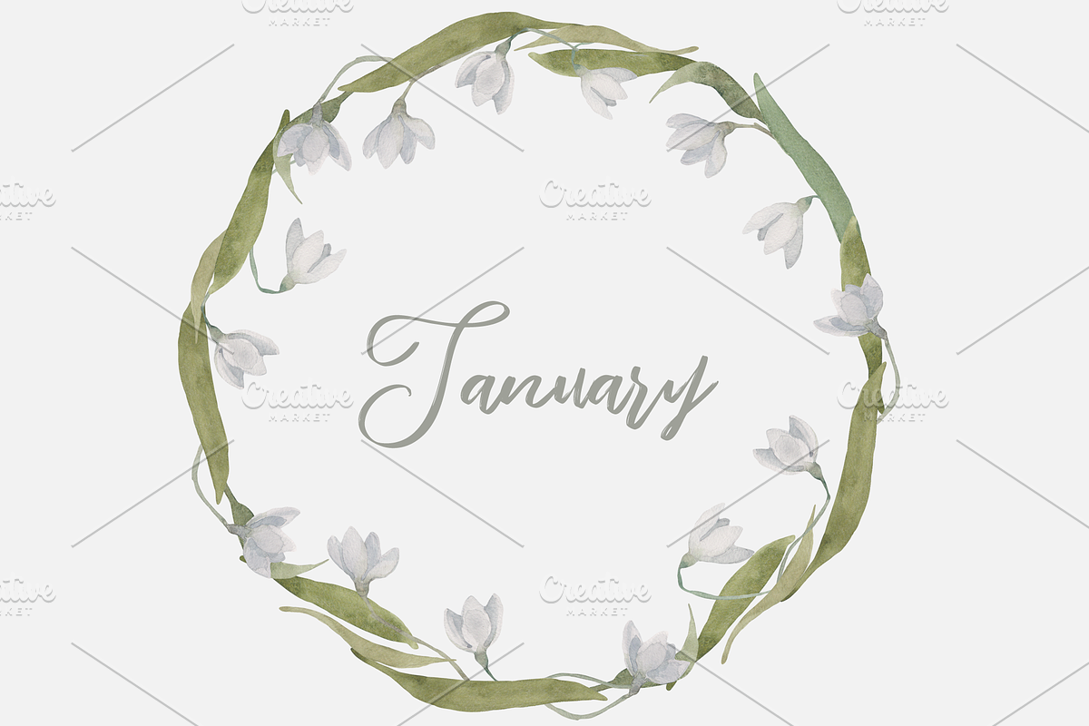 Winter Wildflowers, an Illustration by Elisa Ursa (Photo 5 of 7)