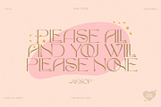 TAN - The Whistling, a Serif Font by TanType (Thumbnail 3 of 35)