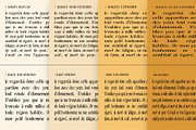 Magely - Stylish Serif Font Family, a Serif Font by Craft Supply Co. (Thumbnail 3 of 12)