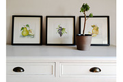 Set of 4 watercolor Fruits, an Illustration by Marina.Markizova (Thumbnail 6 of 6)