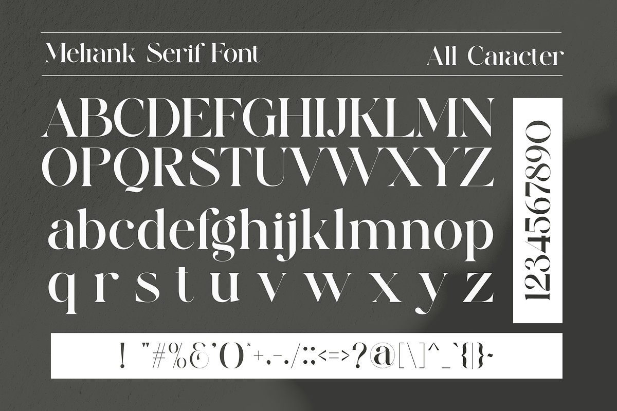 Melrank Elegant Serif Typeface, a Serif Font by Alfinart (Photo 8 of 10)