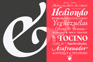 Berganza Font