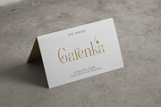 Angella Elegant Serif Font, a Serif Font by Perfectype (Thumbnail 6 of 8)