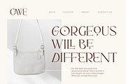 Sunroll - Modern Elegant Serif, a Serif Font by HansCo Studio (Thumbnail 3 of 14)