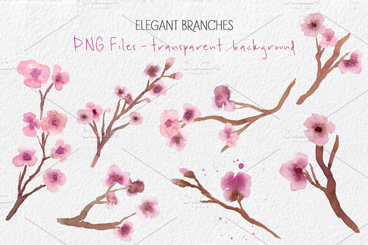 Cherry Blossoms- Watercolor clipart, an Illustration by MaraquelaStudio (Photo 3 of 7)