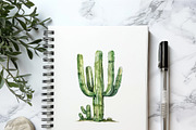 Watercolor Cactus Set, an Object Illustration by BirDIY Design (Thumbnail 4 of 6)