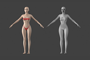 Stylized Female 01 A-Pose Base Mesh, a Characters & Person 3D Model by VK Studio (Thumbnail 2 of 27)