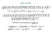 Charlotte Script, a Script Font by PollemSt (Thumbnail 7 of 8)