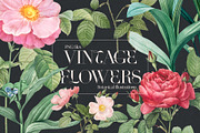 VINTAGE FLOWERS Vol.2 Watercolor Png, an Object Graphic by Oksana Trygub (Thumbnail 1 of 9)