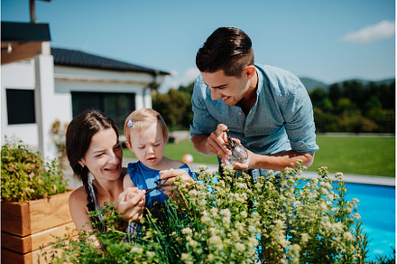 Young family taking care of plants