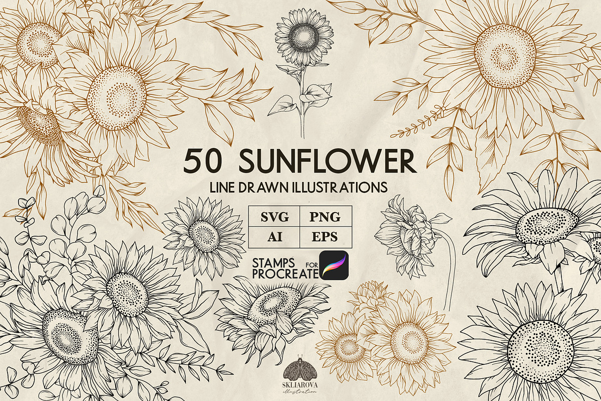 Sunflowers line art + Procreate, a Decorative Illustration by Skliarova (Photo 1 of 5)