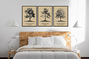 50 US State Tree Vintage Poster Set, a Decorative Illustration by Genius Graph (Thumbnail 3 of 6)