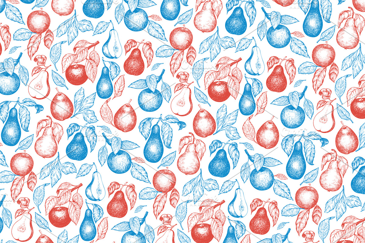 Apple & Pear Vector Collection, a Food Illustration by Lubov Illustrations Shop (Photo 4 of 4)