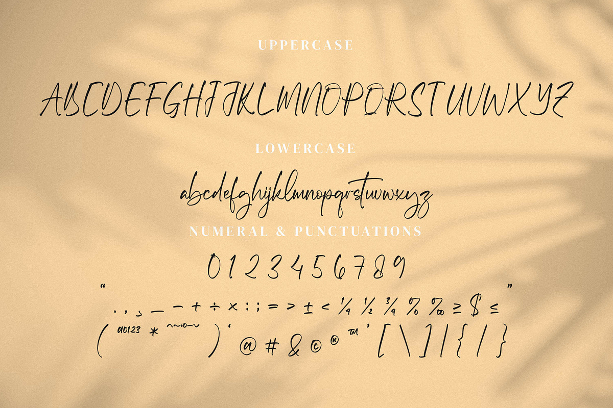Micqallena, a Script Font by Integritype Studio (Photo 9 of 15)